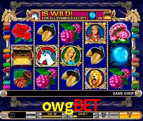 Descubra o Mundo do Cassino Online com owgbet