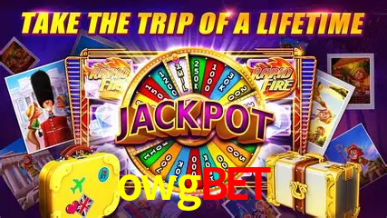 A Experiência Imersiva dos Cassinos Ao Vivo no owgbet